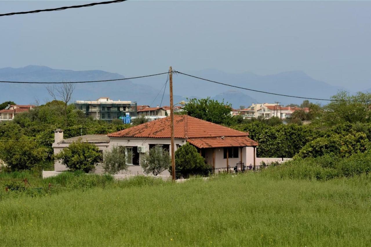 Green House نافبليو المظهر الخارجي الصورة